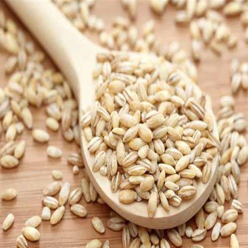 سبوس جو فرآوری شده مدیسه