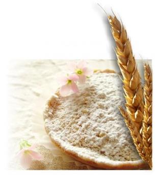 بهبود دهنده نان